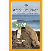 Art of Excursion Vol. 2