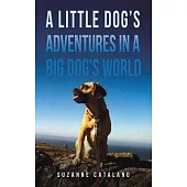 A Little Dog’s Adventures in a Big Dog’s World