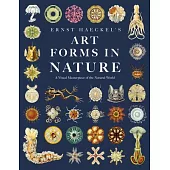 Ernst Haeckel’s Art Forms in Nature: A Visual Masterpiece of the Natural World