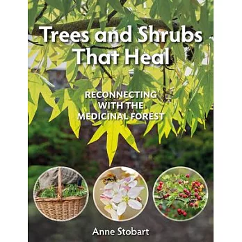 Trees and Shrubs That Heal: Reconnecting with the Medicinal Forest