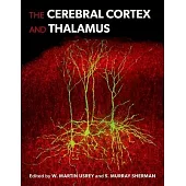 The Cerebral Cortex and Thalamus