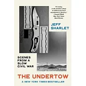 The Undertow: Scenes from a Slow Civil War