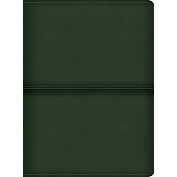 CSB Men’s Daily Bible, Olive Leathertouch, Indexed