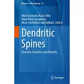Dendritic Spines: Structure, Function, and Plasticity