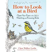 How to Look at a Bird: Open Your Eyes to the Joy of Watching and Knowing Birds