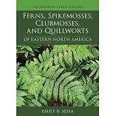 Ferns, Spikemosses, Clubmosses, and Quillworts of Eastern North America