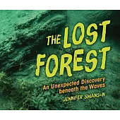 The Lost Forest: An Unexpected Discovery Beneath the Waves
