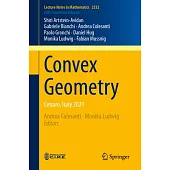 Convex Geometry: Cetraro, Italy 2021
