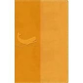 Nirv, the Illustrated Holy Bible for Kids, Leathersoft, Yellow, Full Color, Comfort Print: Over 750 Images