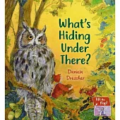 What’s Hiding Under There?: A Magical Lift-The-Flap Book