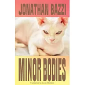 Minor Bodies