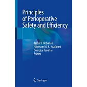 Principles of Perioperative Safety and Efficiency