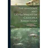 The Anatomy and Development of Cassiopea Xamachana