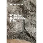 Fatma Bucak: While the Dust Quickly Falls