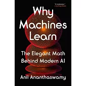 Why Machines Learn: The Elegant Math Behind Modern AI