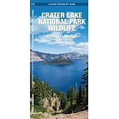 Crater Lake National Park Wildlife: A Folding Pocket Guide to Familiar Animals