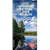 Voyageurs National Park Wildlife: A Folding Pocket Guide to Familiar Animals
