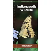 Indianapolis Wildlife: A Folding Pocket Guide to Familiar Animals
