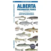 Alberta Fishes: A Folding Pocket Guide to All Known Native and Introduced Species