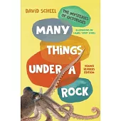 Many Things Under a Rock Young Readers Edition: The Mysteries of Octopuses
