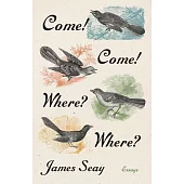 Come! Come! Where? Where?: Essays