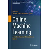Online Machine Learning: A Practical Guide with Examples in Python