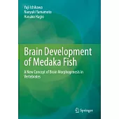 Brain Development of Medaka Fish: A New Concept of Brain Morphogenesis in Vertebrates