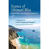Essence of Ultimate Bliss: Meditational Self-Awareness with Twenty-one Dzogchen nails