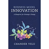 Business Model Innovation: A Blueprint for Strategic Change
