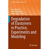 Degradation of Elastomers in Practice, Experiments and Modeling
