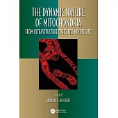 The Dynamic Nature of Mitochondria: From Ultrastructure to Health and Disease