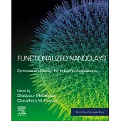 Functionalized Nanoclays: Synthesis and Design for Industrial Applications