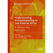 Understanding Entrepreneurship in Sub-Saharan Africa: A Venture-Ship Approach