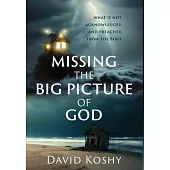 Missing The Big Picture Of God: What Is Not Acknowledged And Preached From The Bible