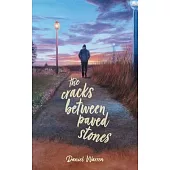 The Cracks Between Paved Stones