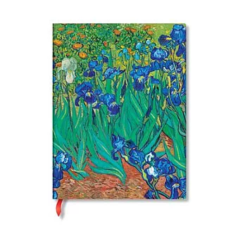 Van Gogh’s Irises Van Gogh’s Irises Mini Lin