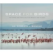 Space for Birds: Patterns and Parallels of Beauty and Flight
