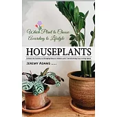 Houseplants: Which Plant to Choose According to Lifestyle (Unlock the Secrets to Bringing Nature Indoors and Transforming Your Livi