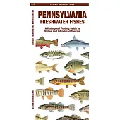 Pennsylvania Freshwater Fishes: A Waterproof Folding Guide to Native and Introduced Species