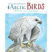 A Children’s Guide to Arctic Birds