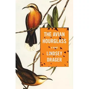The Avian Hourglass