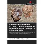 Benthic foraminifera, Escolin, Tampico-Misantla sediment basin. Tampico-Misantla, Méx