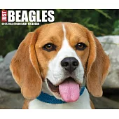 Beagles 2025 6.2 X 5.4 Box Calendar