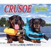 Crusoe the Celebrity Dachshund 2025 6.2 X 5.4 Box Calendar