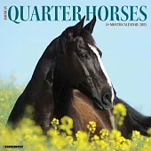 American Quarter Horses 2025 12 X 12 Wall Calendar