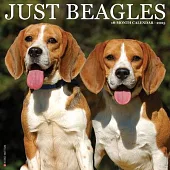 Just Beagles 2025 12 X 12 Wall Calendar