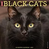 Just Black Cats 2025 12 X 12 Wall Calendar