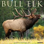 Bull Elk 2025 12 X 12 Wall Calendar