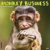 Monkey Business 2025 12 X 12 Wall Calendar
