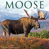 Moose 2025 12 X 12 Wall Calendar